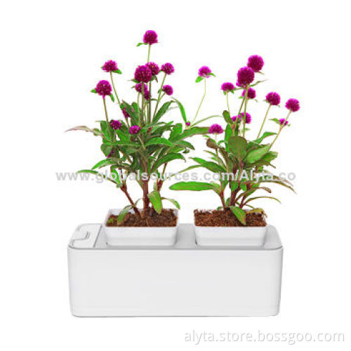 Plastic Vases, Smart Planting Do Not Need to Care Unique Electronic Product, OEM, CE, FCC Marks